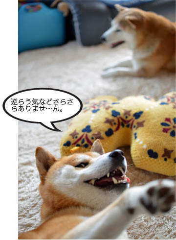13日ブログ8.jpg