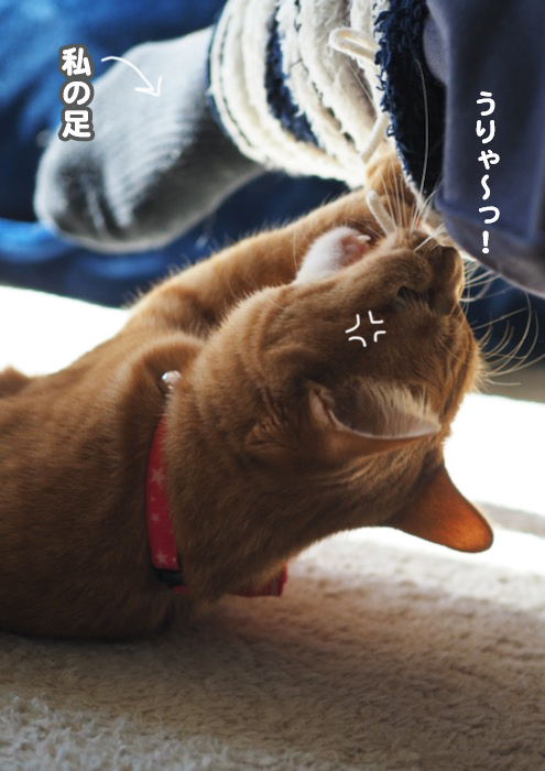 9日夜ブログ８