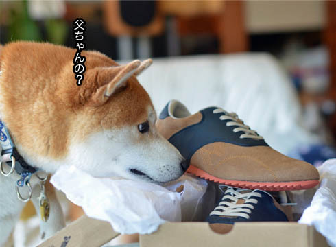 27日ブログ4.jpg