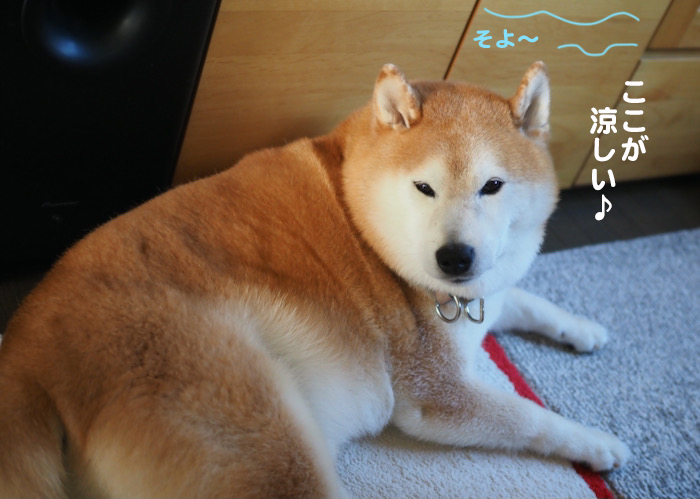 15日ブログ１