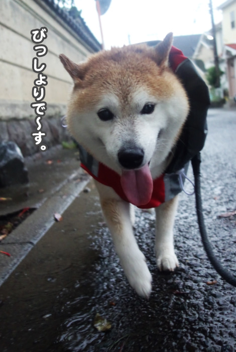 16日ブログ3