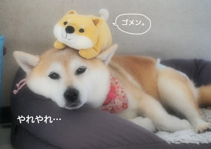 7日ブログ８