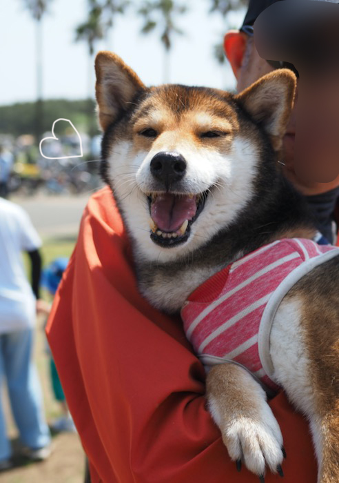15日ブログ6