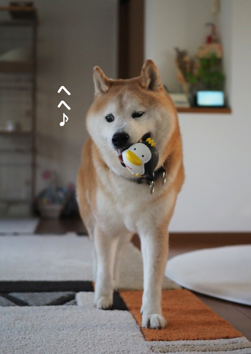 1日夕ブログ７