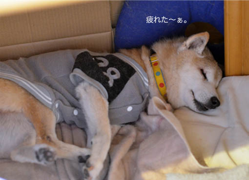 13日ブログ７.jpg