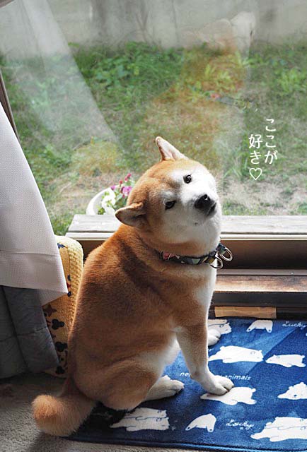 21日ブログ3