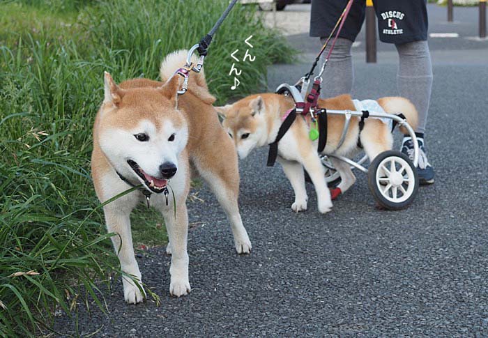 16日ブログ２