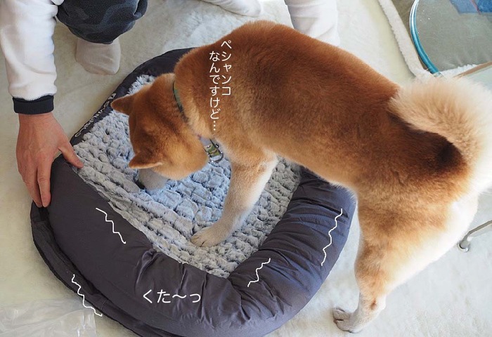 2日ブログ５