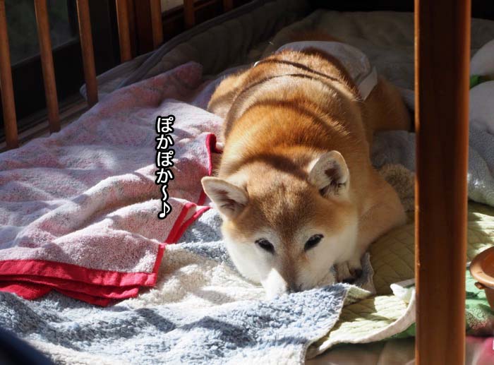 4日夜ブログ２