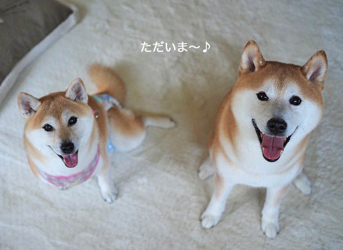 13日午後ブログ２