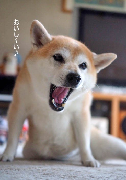 19日ブログ５