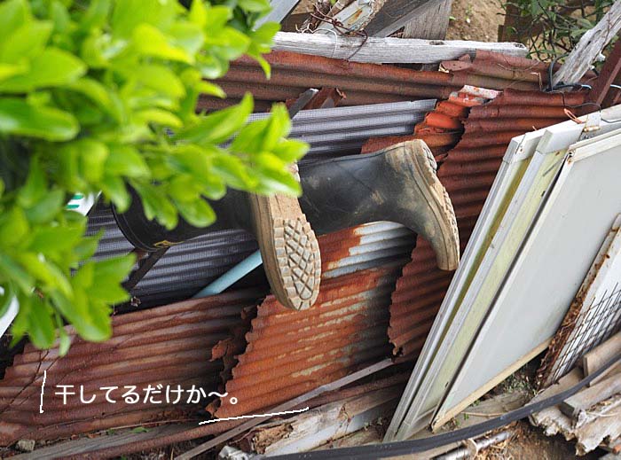 27日ブログ２