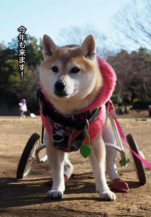 9日ブログ２