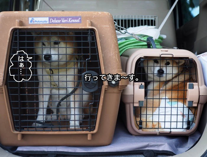 27日ブログ１０