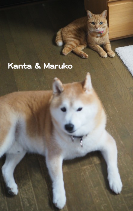 27日ブログ１