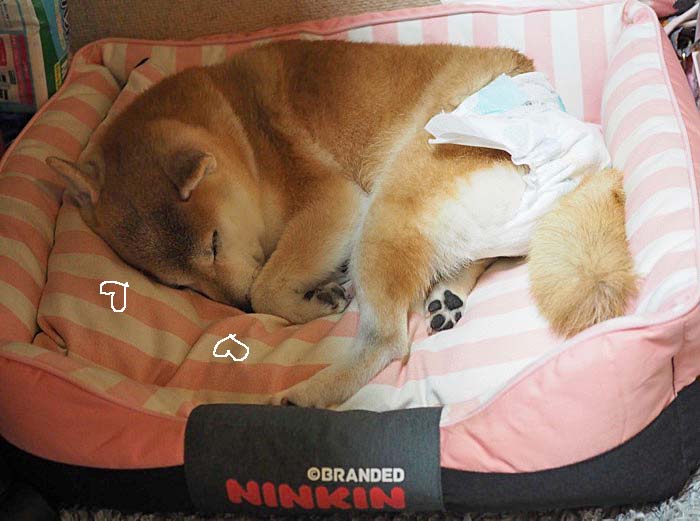 6日ブログ４