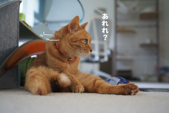 6日ブログ２