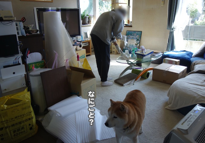 6日ブログ2