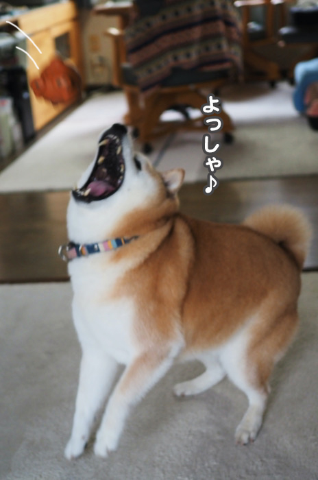 15日ブログ６