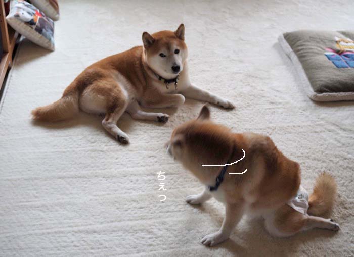 6日午後ブログ3
