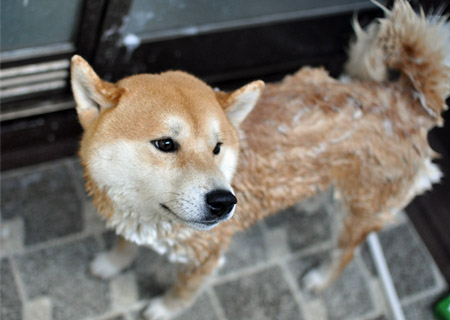 26日ブログ5.jpg