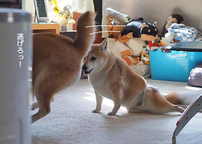 23日午前ブログ８