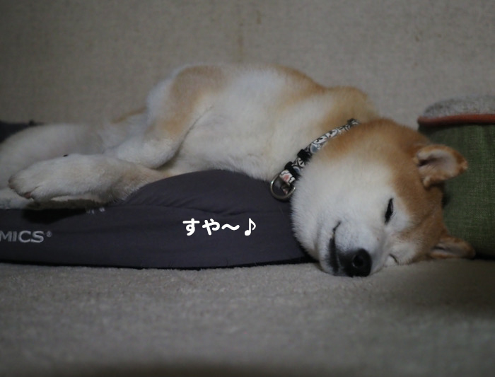 12日ブログ１