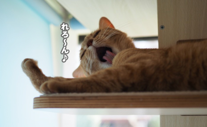 18日夕ブログ４
