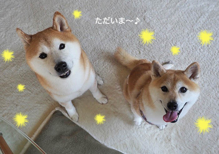 24日午後ブログ7