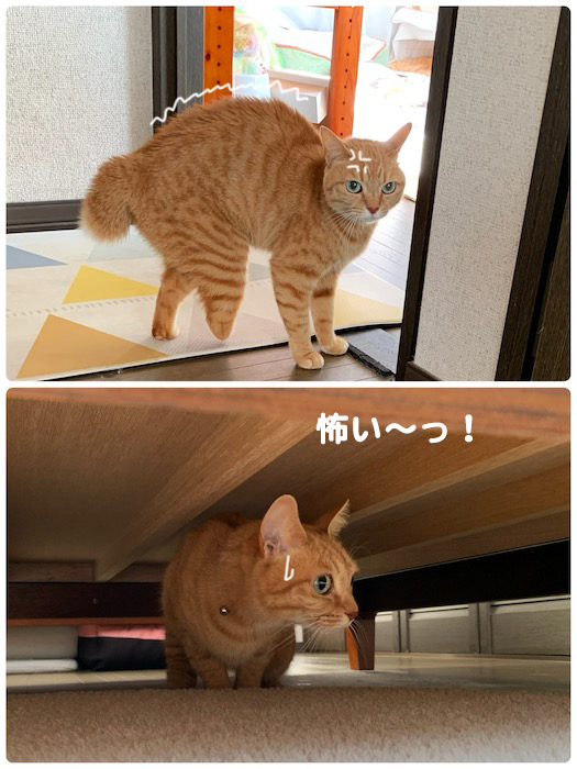 27日夕ブログ１０