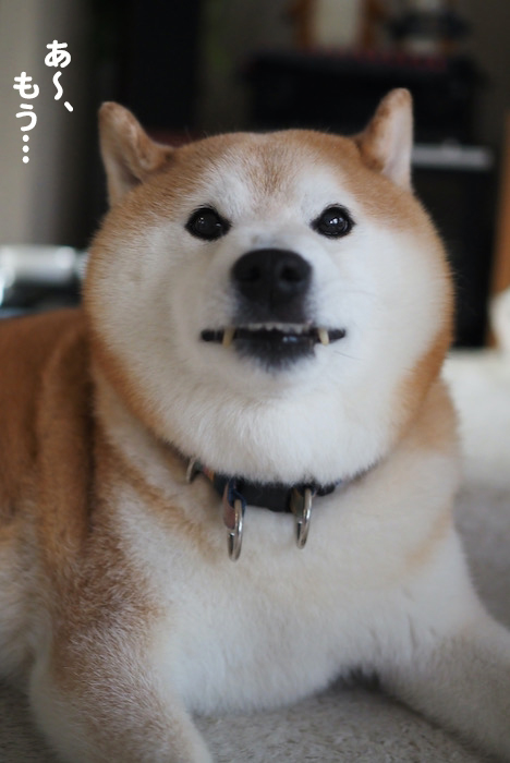 6日夜ブログ４