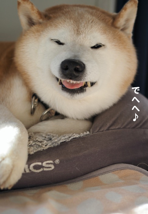 22日ブログ３