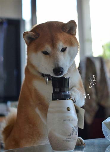29日ブログ5.jpg