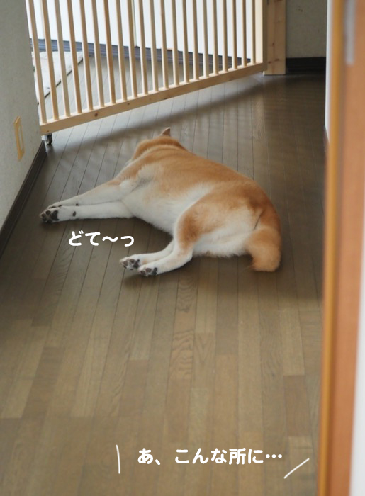 4日夕ブログ６