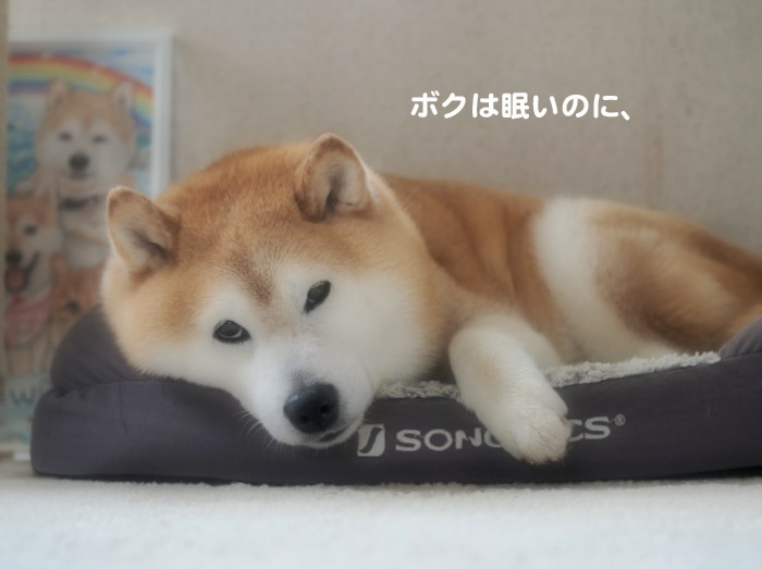 9日夕ブログ２