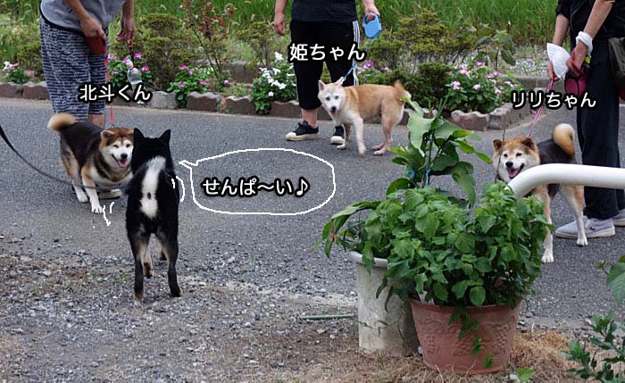 30日ブログ７