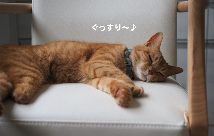 30日夕ブログ７