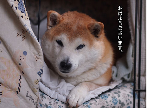 26日ブログ4.jpg