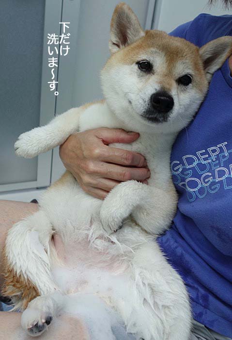 2日ブログ６