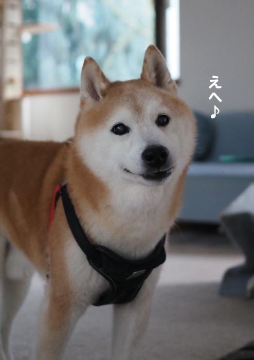 18日夕ブログ３