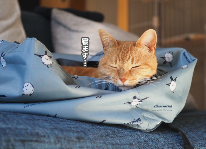6日夕ブログ５