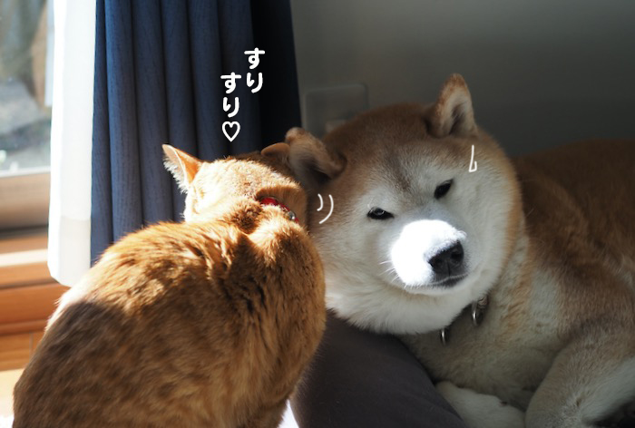30日夕ブログ5