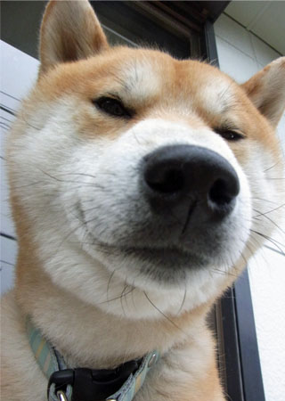 11日ブログ9.jpg