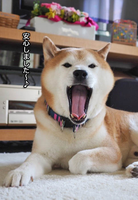 7日ブログ４