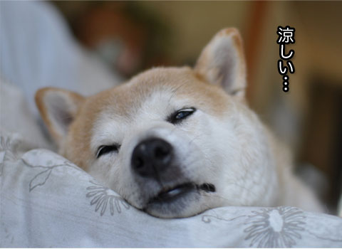 30日ブログ11.jpg