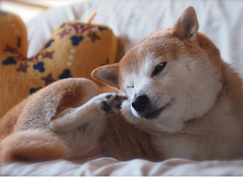 2日ブログ8.jpg