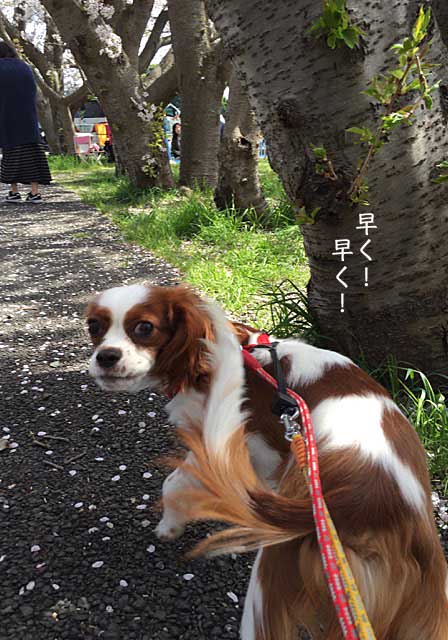 2日ブログ3