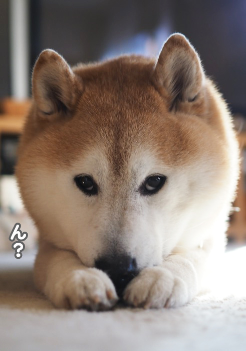 25日ブログ5
