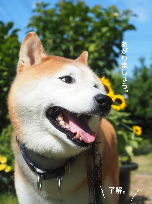6日ブログ４
