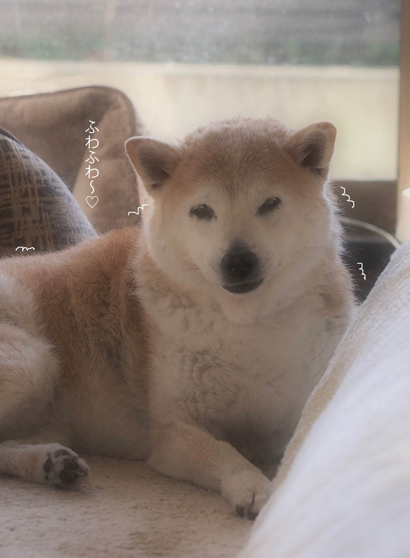 13日ブログ6